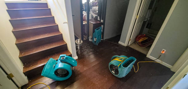 Best Water damage cleanup near me  in Steelville, MO