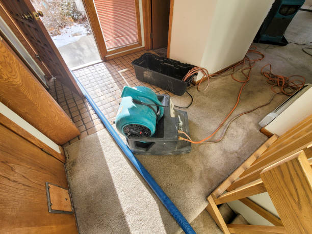 Best Water damage mitigation services  in Steelville, MO