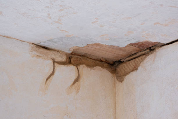 Best Ceiling water damage repair  in Steelville, MO