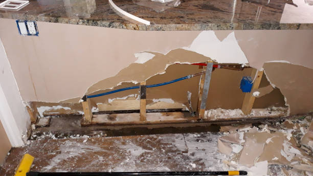 Best Basement water damage restoration  in Steelville, MO
