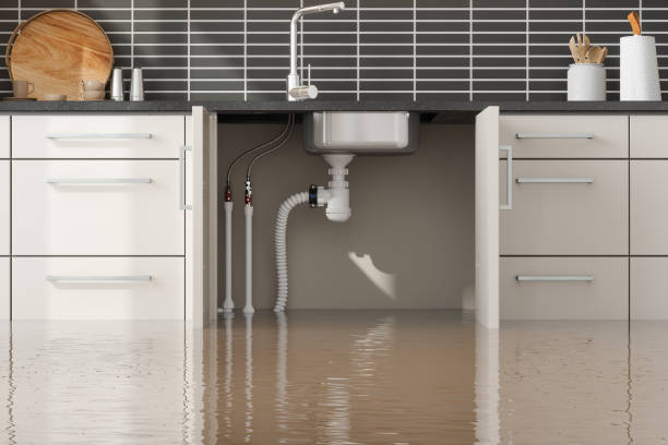 Best Flood restoration services  in Steelville, MO