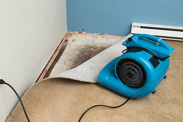 Professional Water damage restoration in Steelville, MO